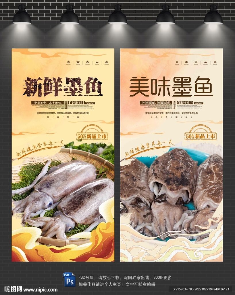 墨鱼