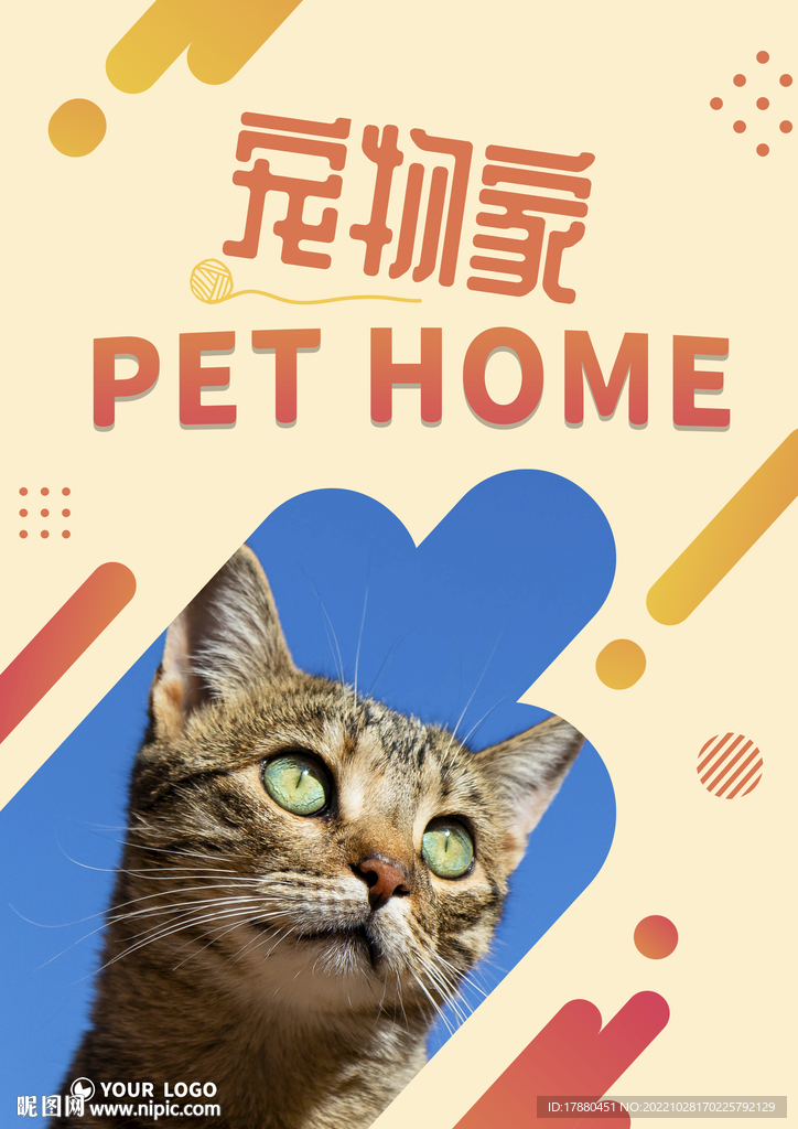 宠物店宣传海报