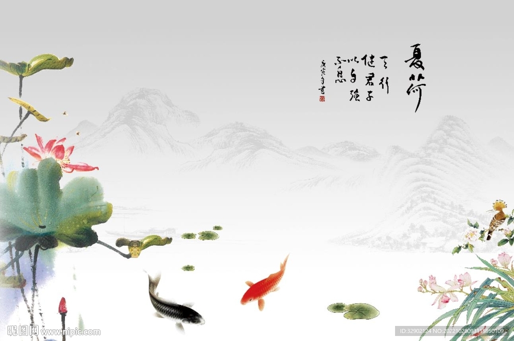 荷花