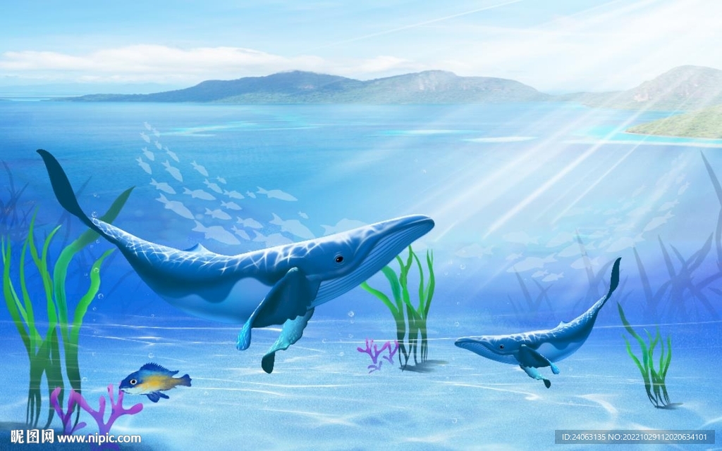 海洋世界