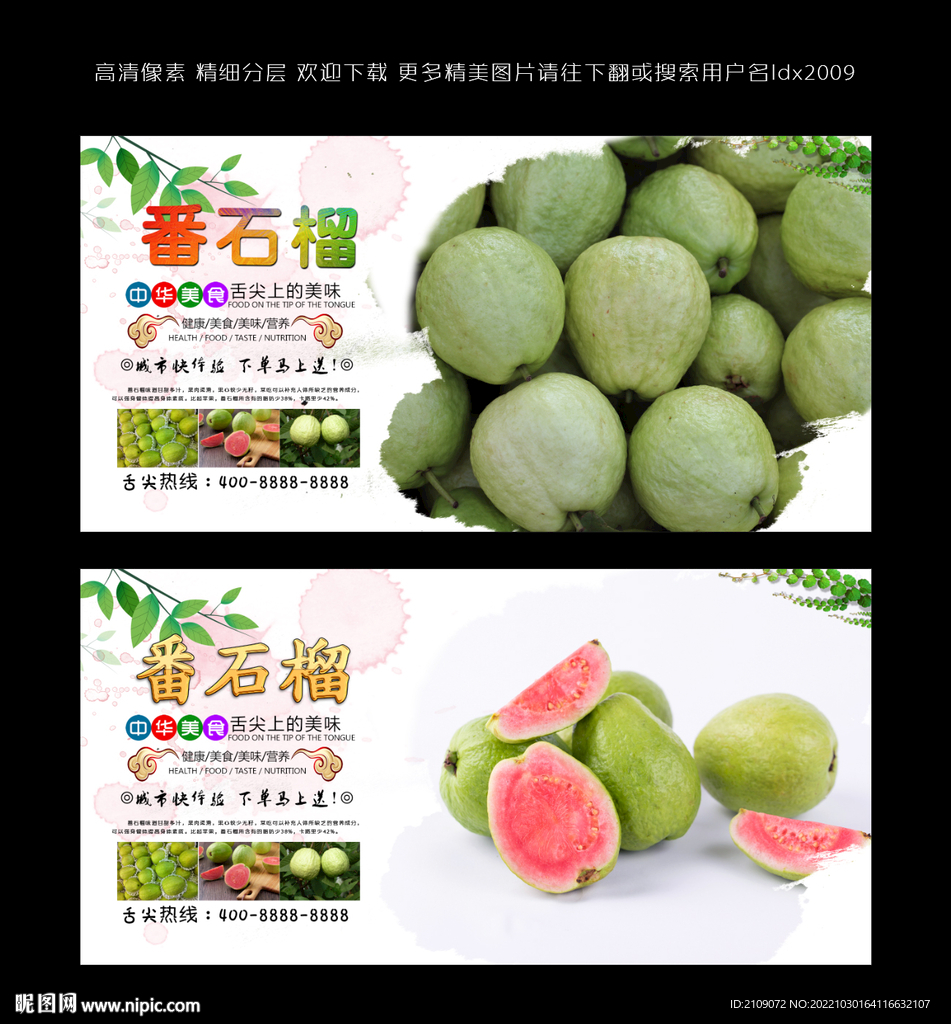 番石榴  