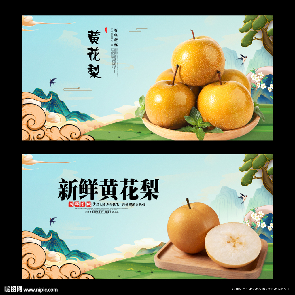黄花梨