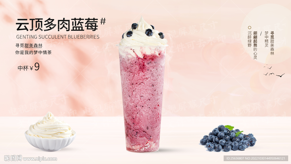 云顶多肉蓝莓
