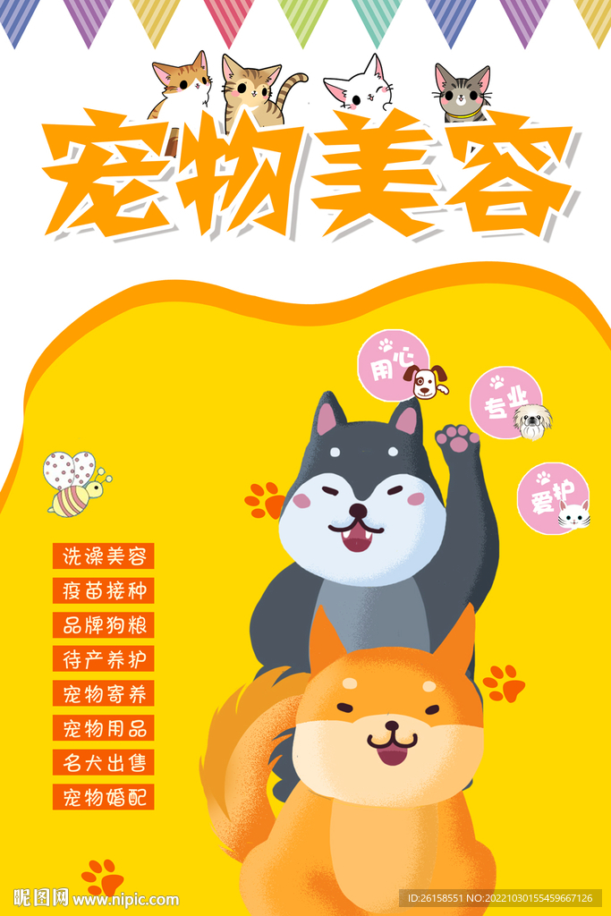 宠物