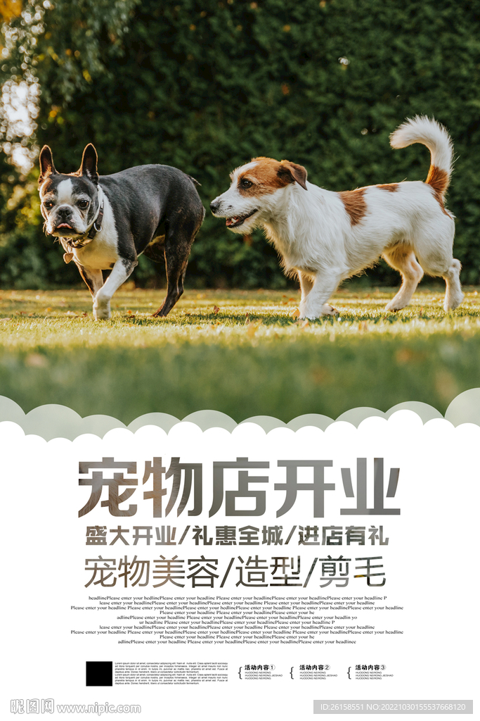 宠物