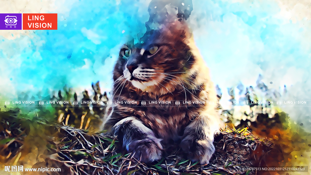 猫