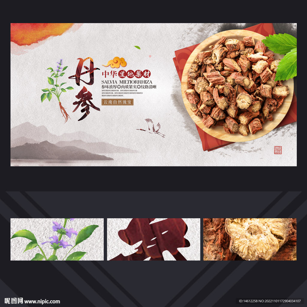 丹参