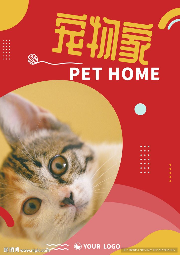 宠物店宣传海报