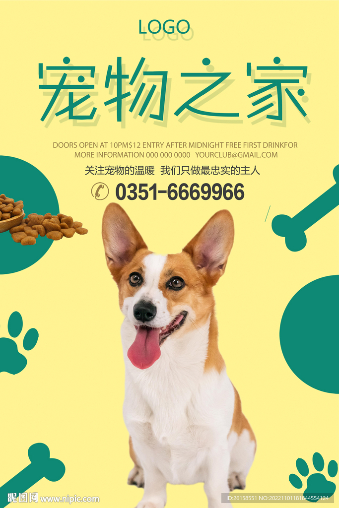 宠物