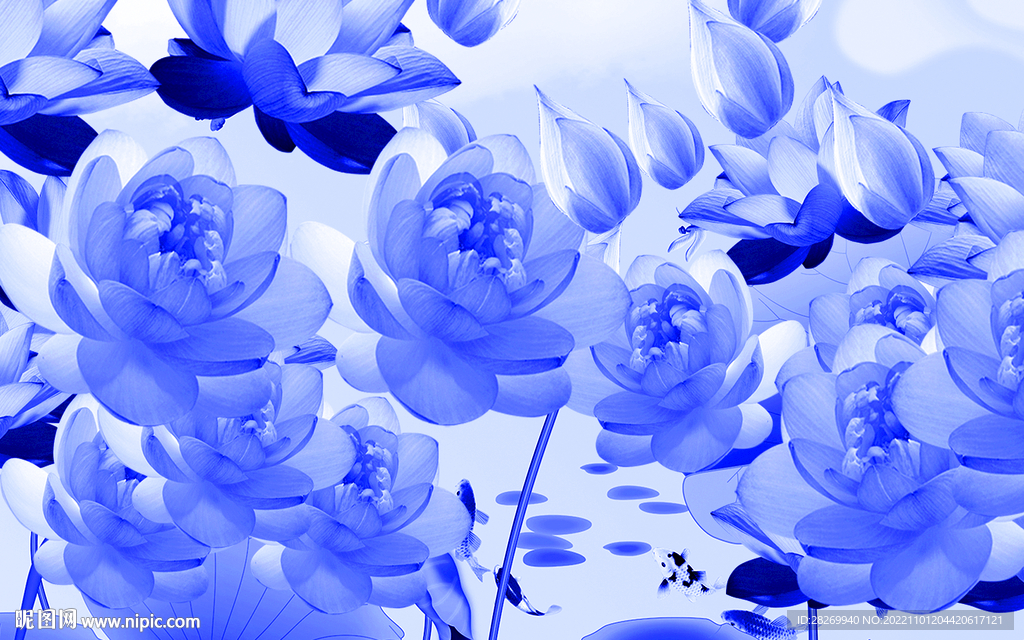 莲花