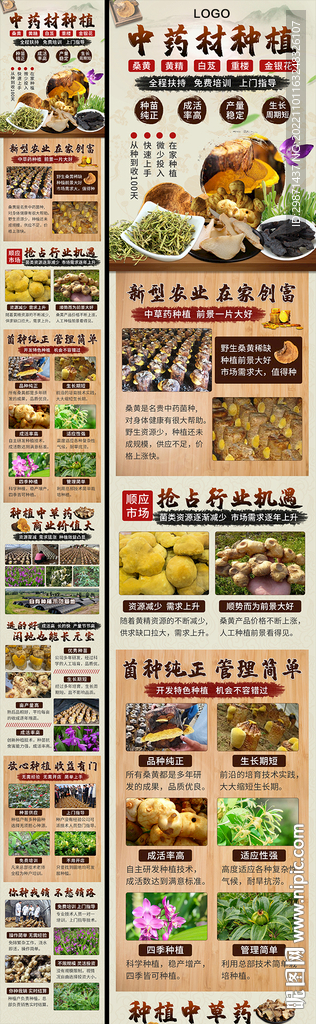 中药材种植