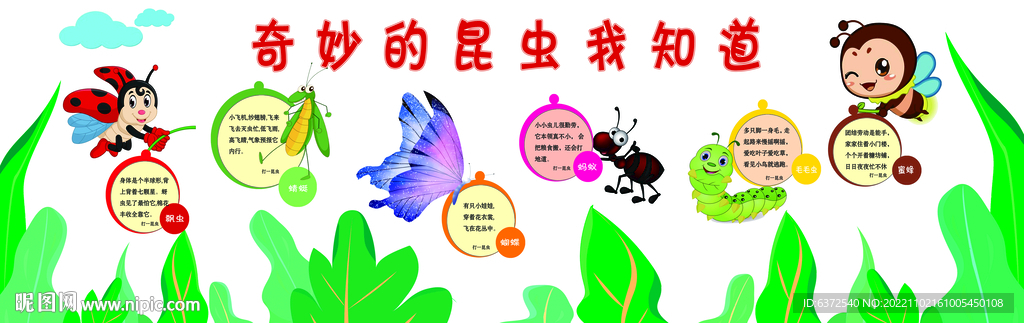 奇妙的昆虫