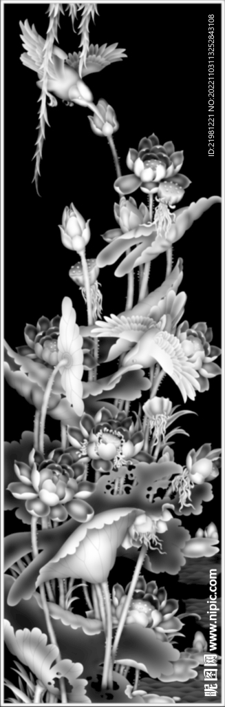 荷花灰度图图片