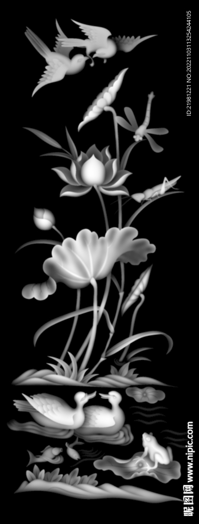 荷花灰度图图片