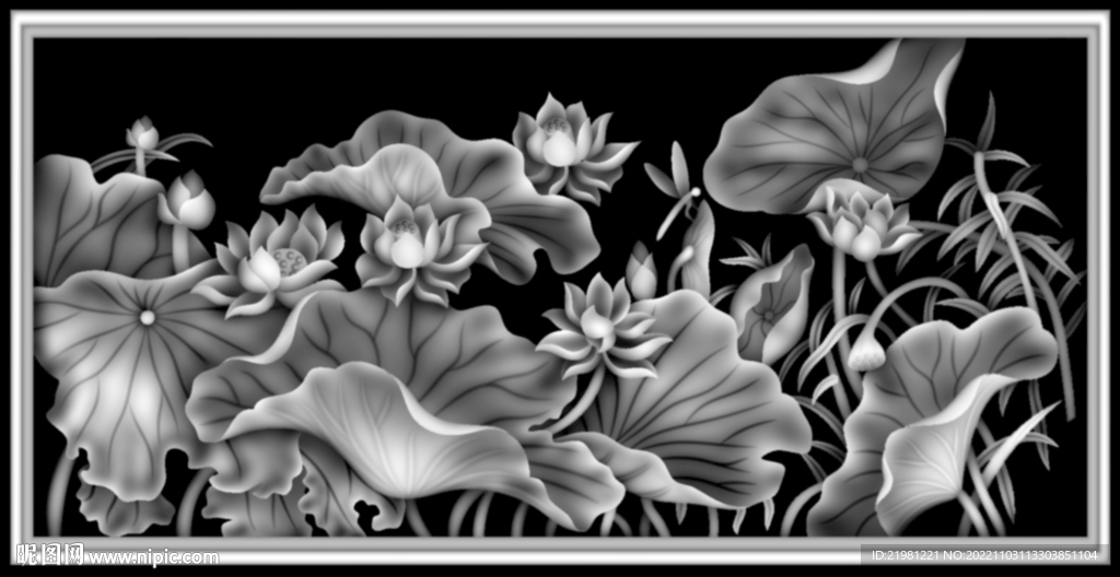 荷花灰度图图片
