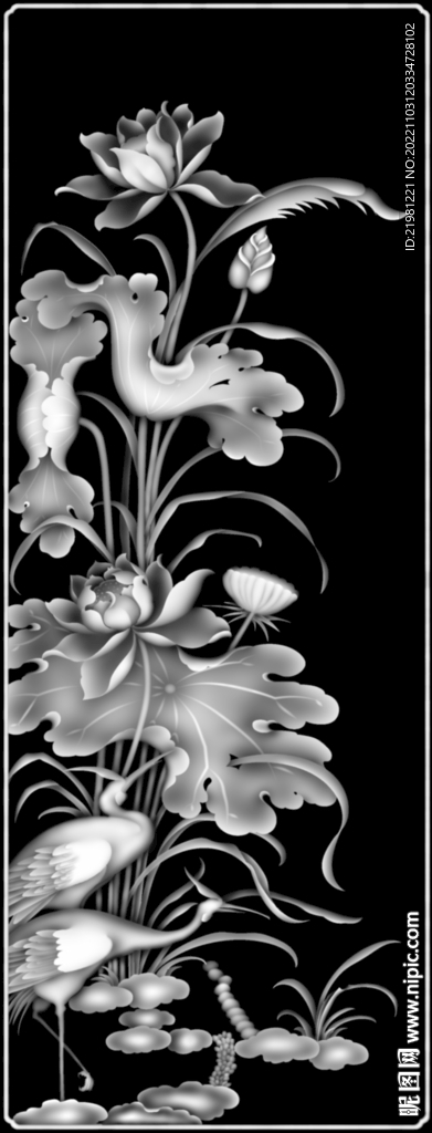 荷花灰度图图片