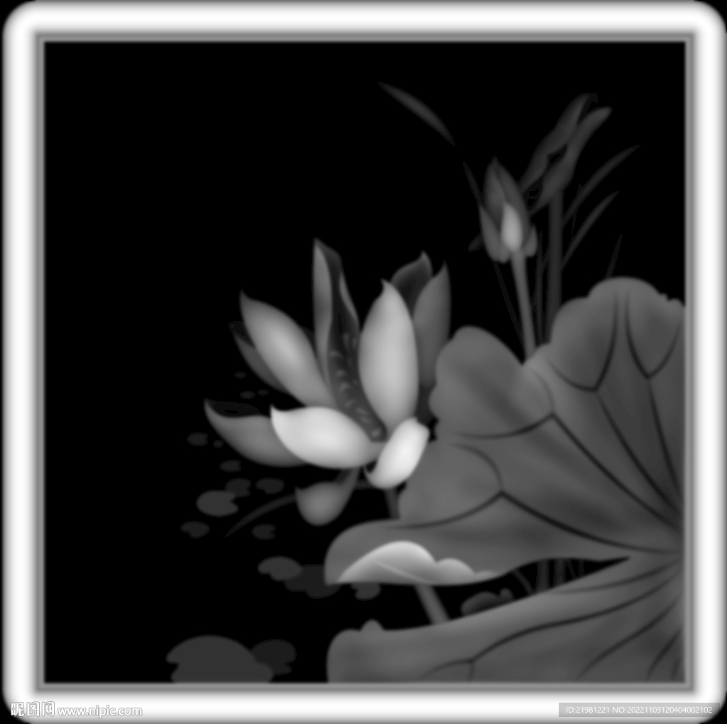 荷花灰度图图片