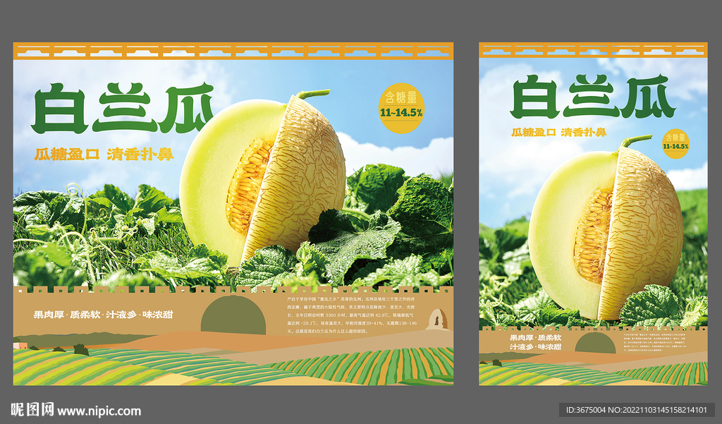 白兰瓜哈密瓜kv水果包装主视觉