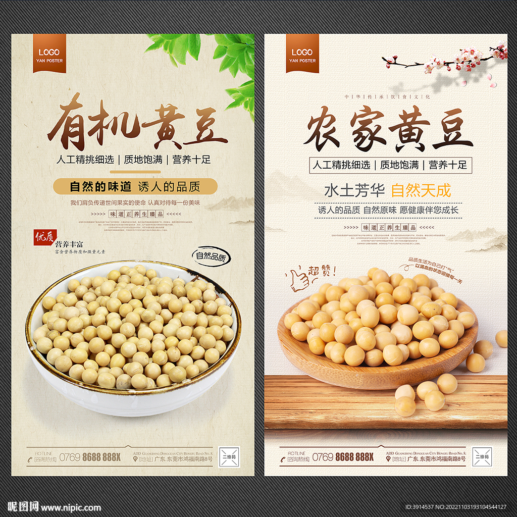 黄豆