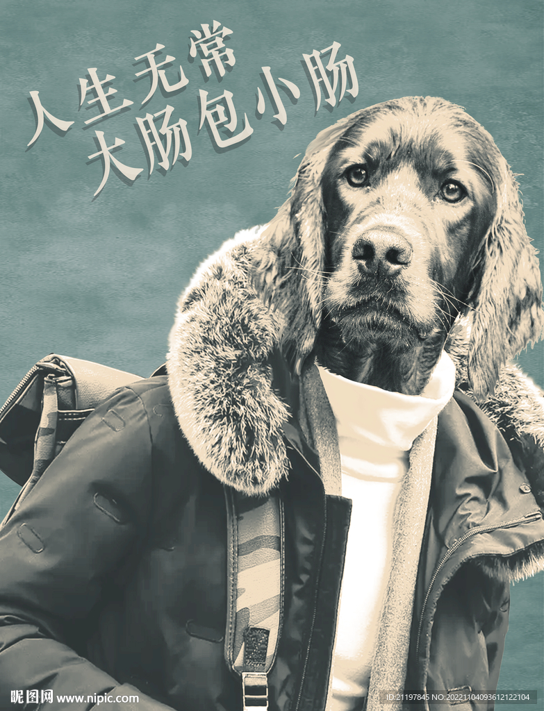 动物头像挂画  