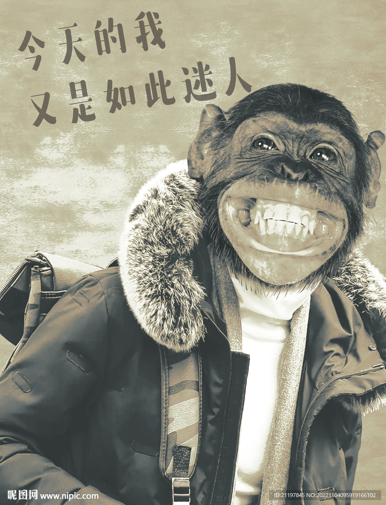 动物头像挂画 