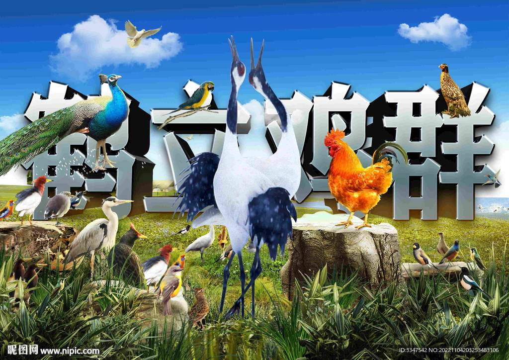鹤立鸡群