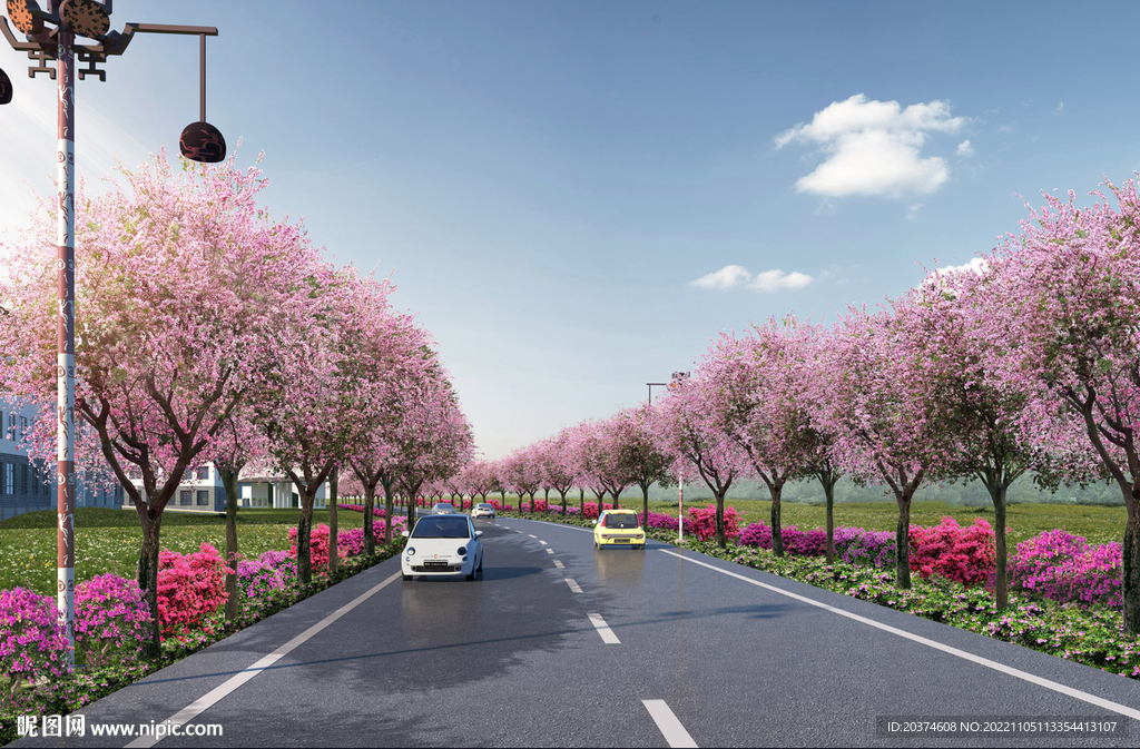 宫粉紫荆道路效果图 