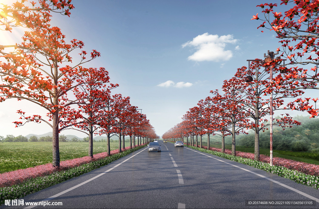 木棉花道路效果图 