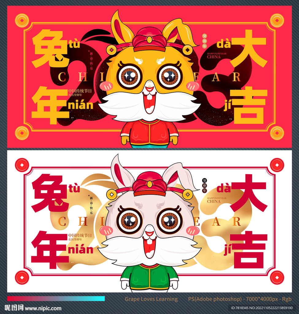 兔年