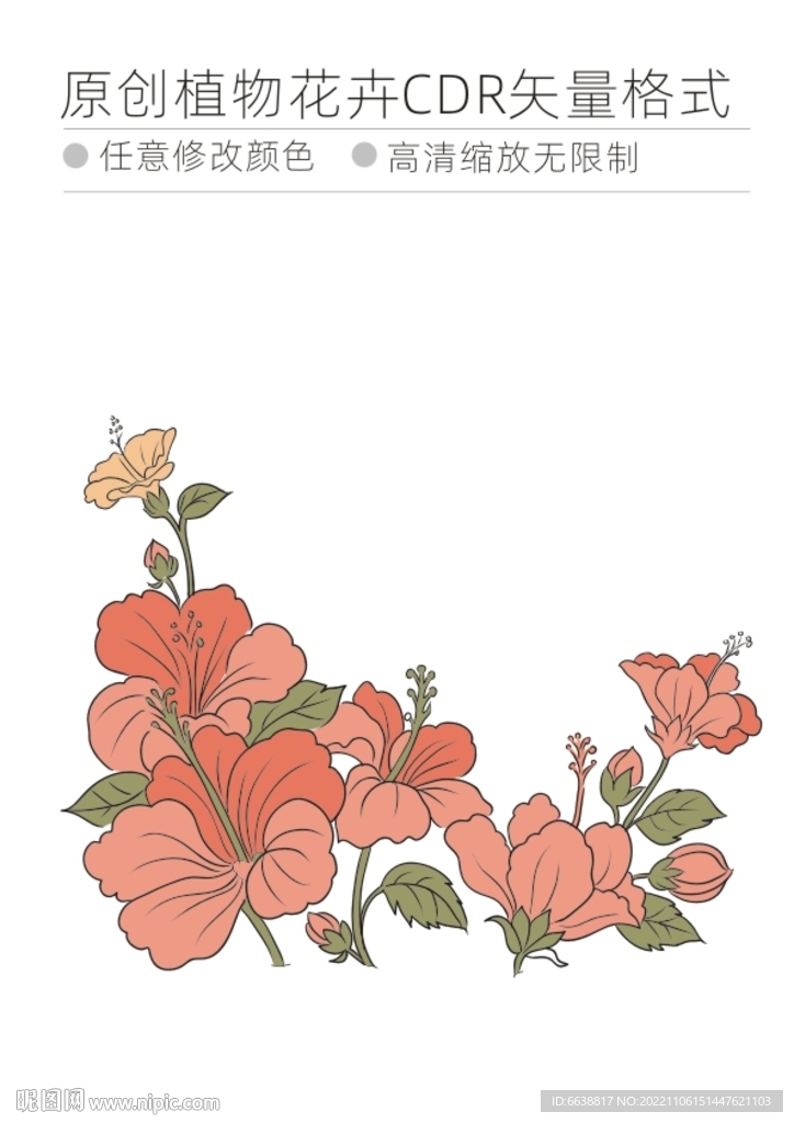 植物花卉cdr格式