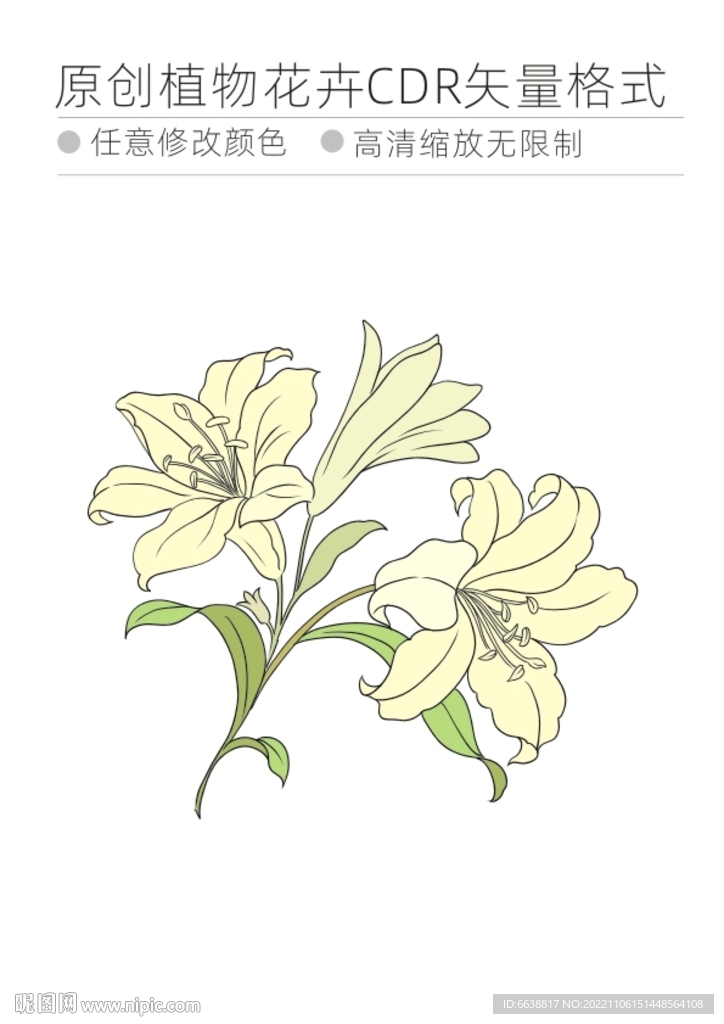 植物花卉cdr格式