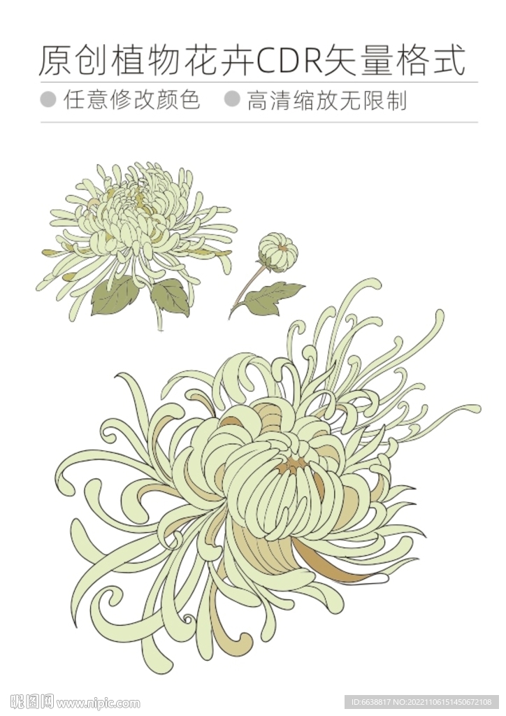 植物花卉cdr格式