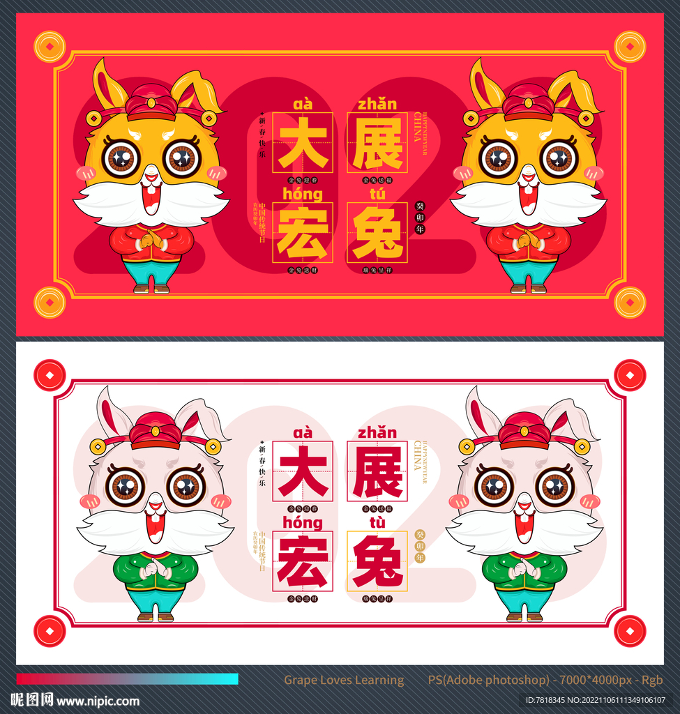 兔年