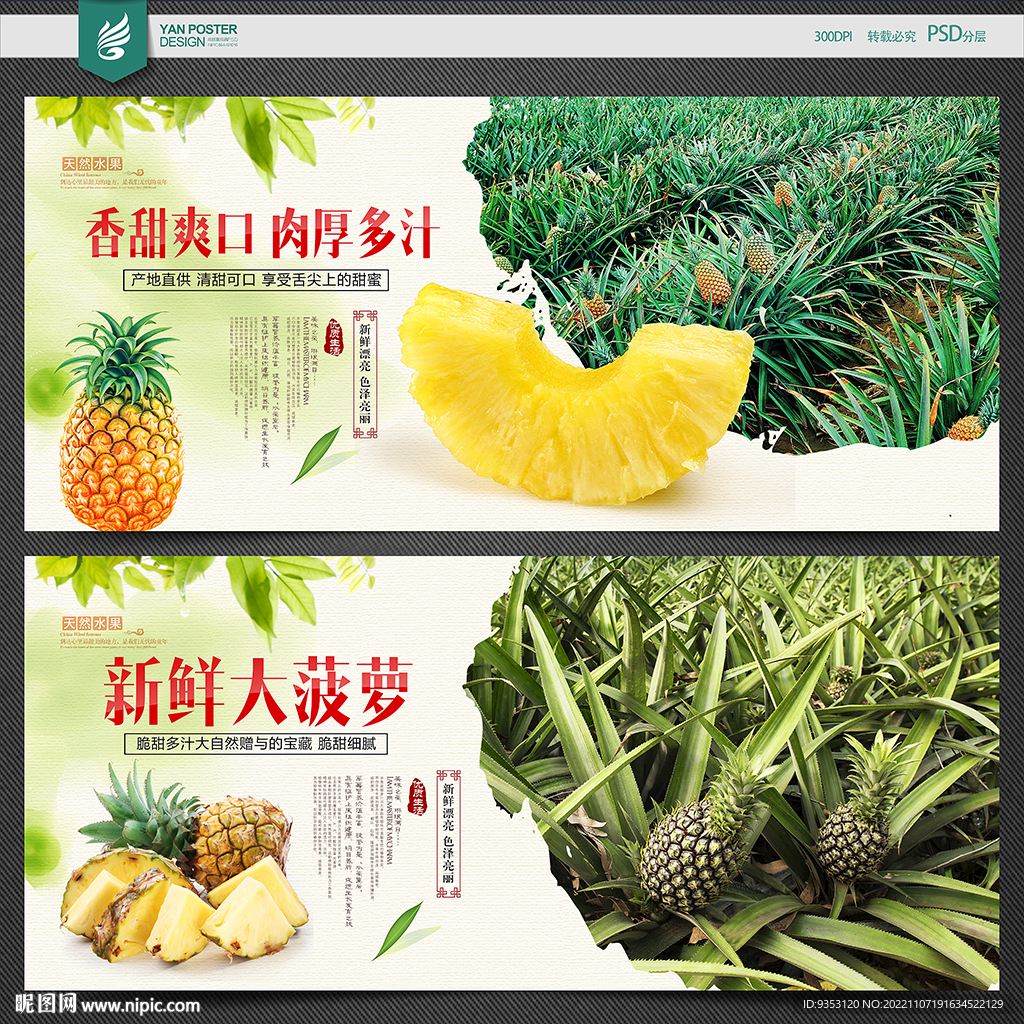 菠萝