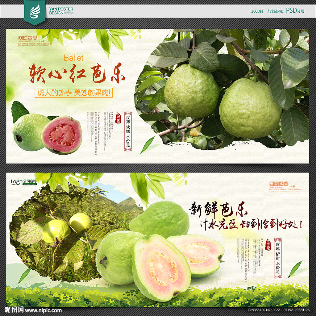 芭乐