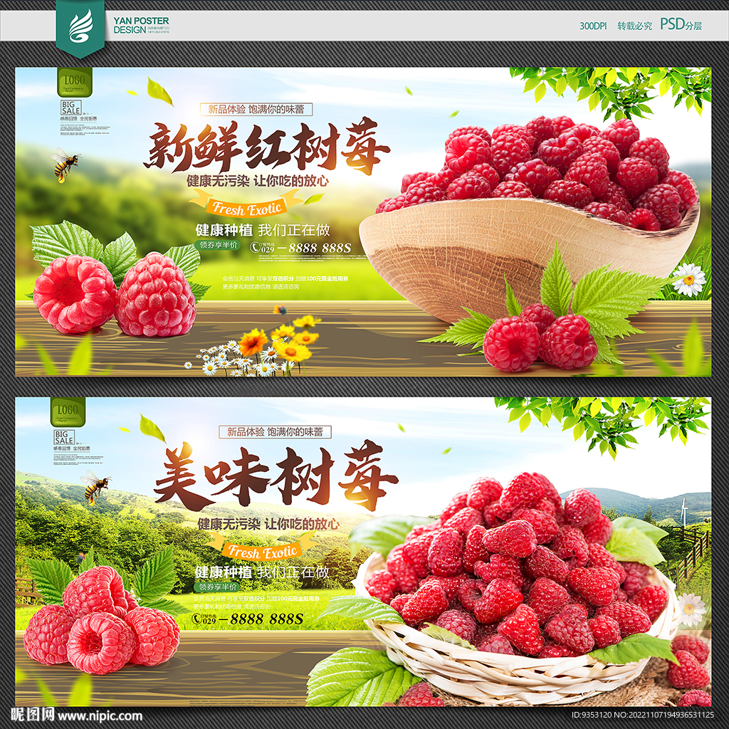 树莓