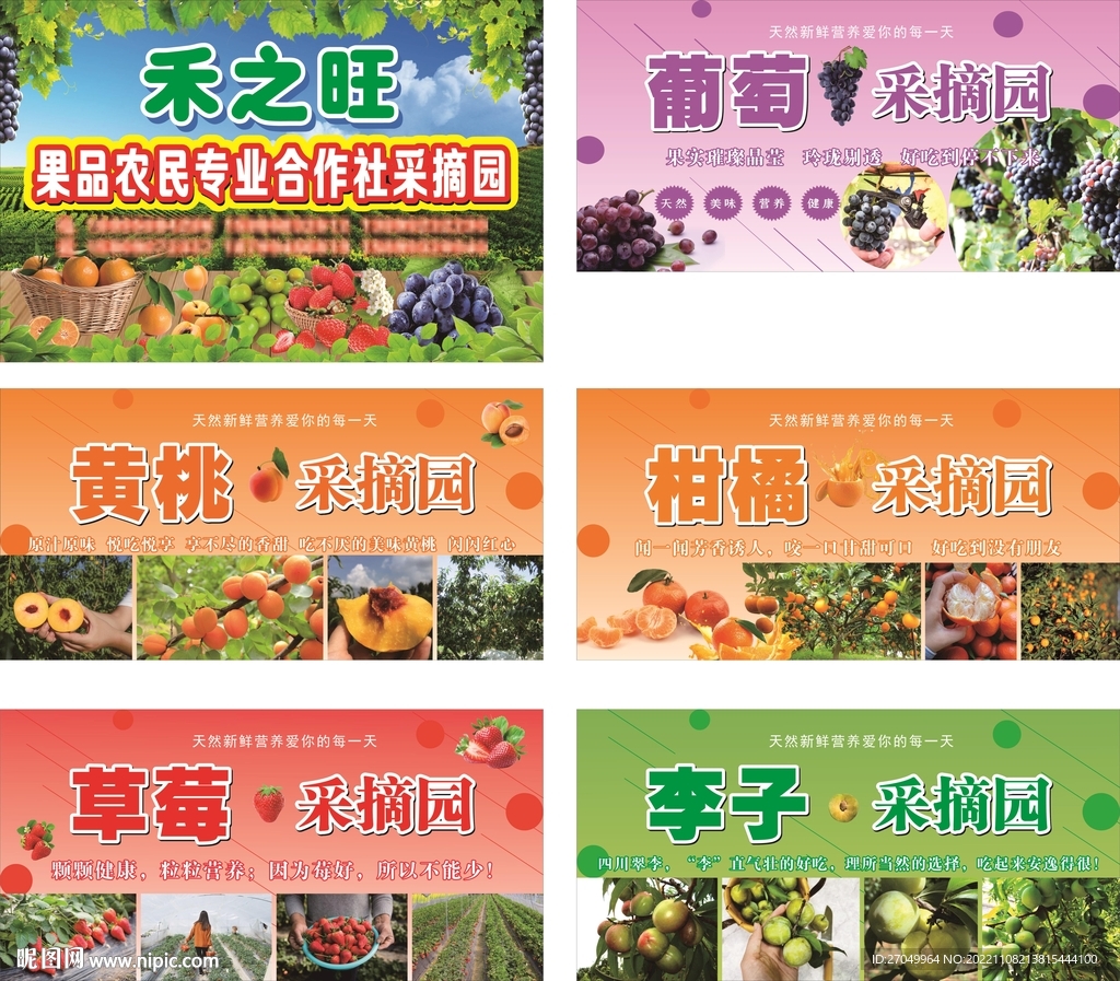 水果采摘园喷绘