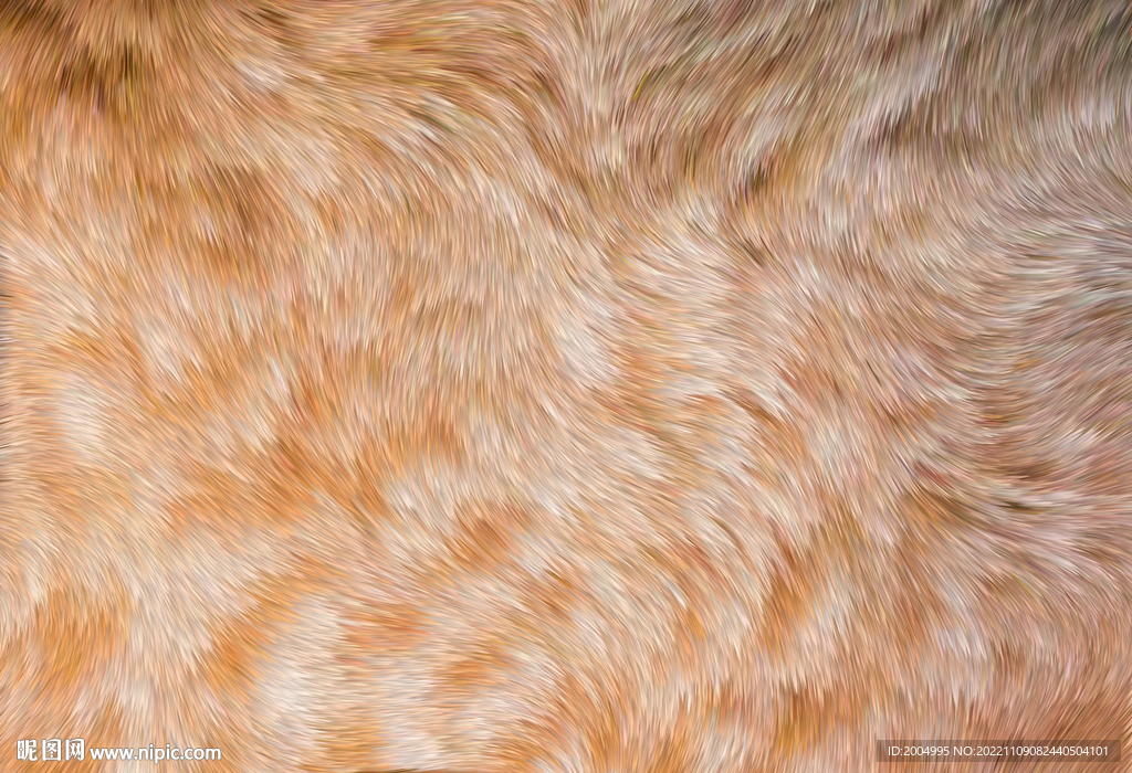 金黄色毛发皮毛纹理