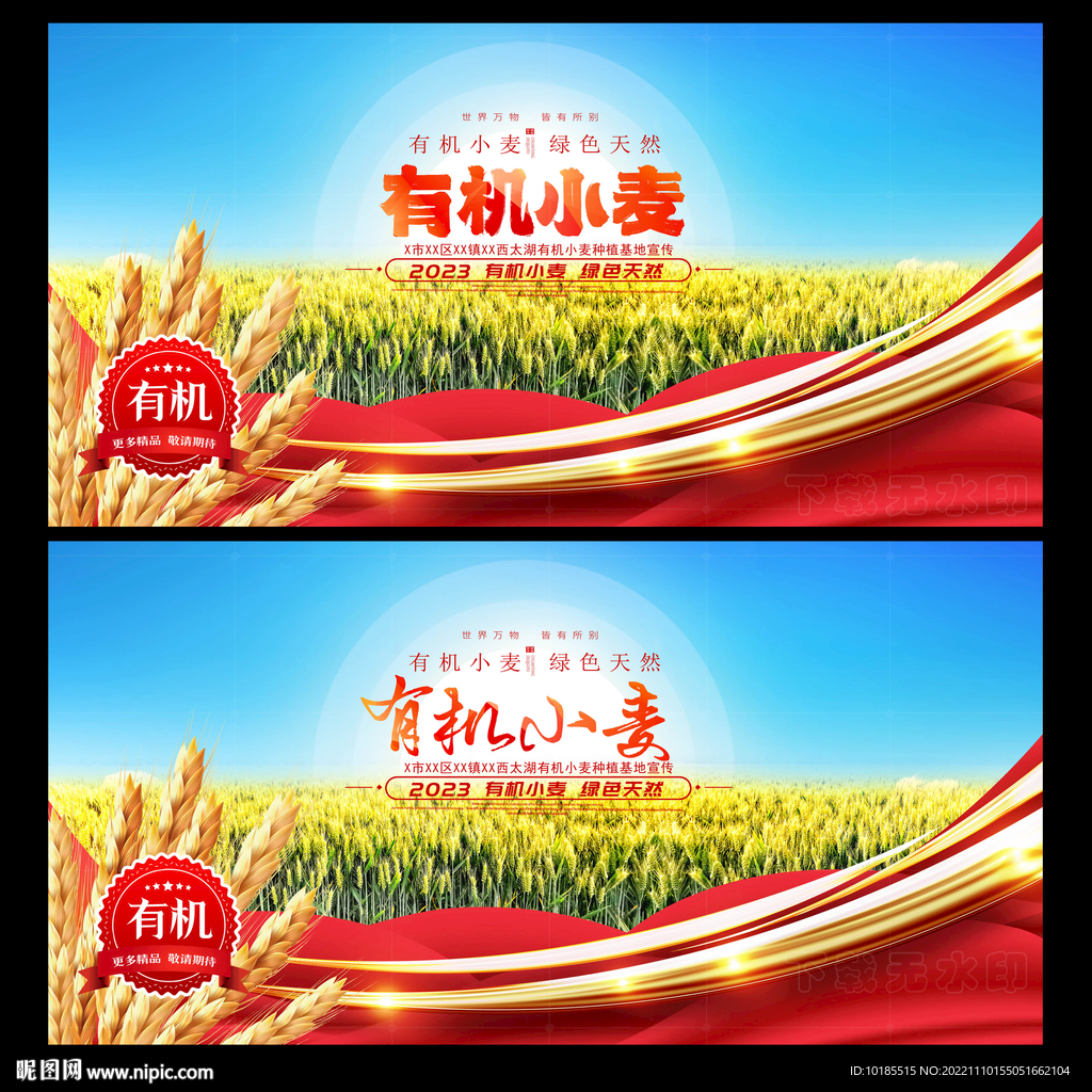 有机小麦