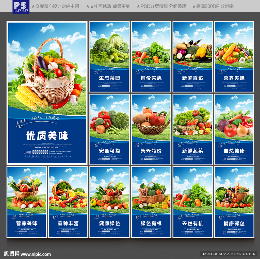 蔬菜展板