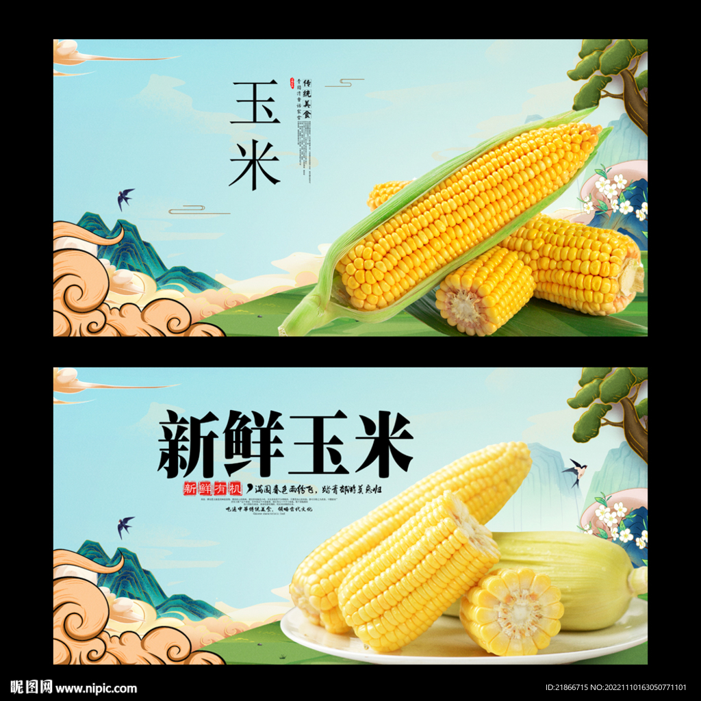 玉米