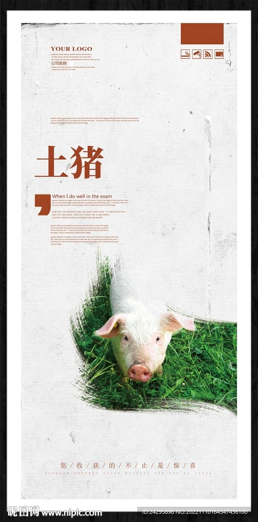 土猪