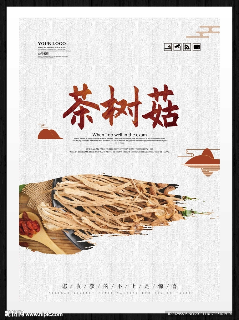 茶树菇
