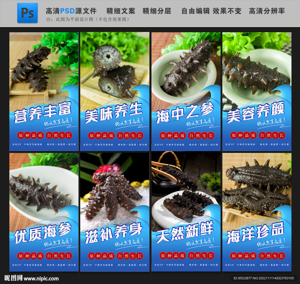 海参