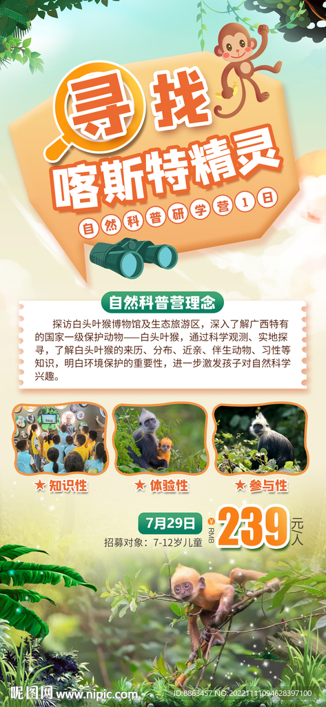 寻找喀斯特精灵