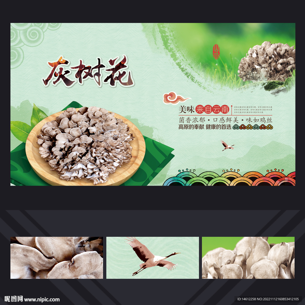 灰树花
