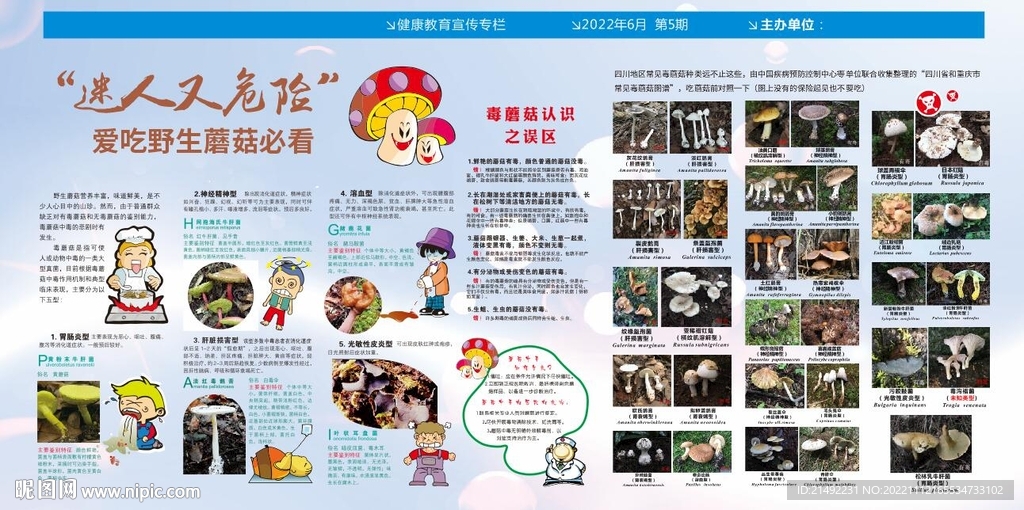毒蘑菇展板