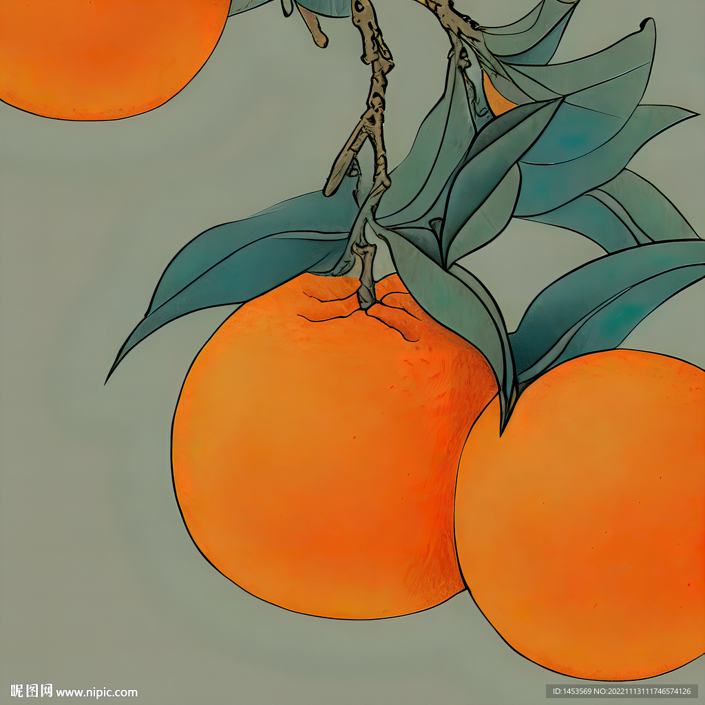 橘子插画