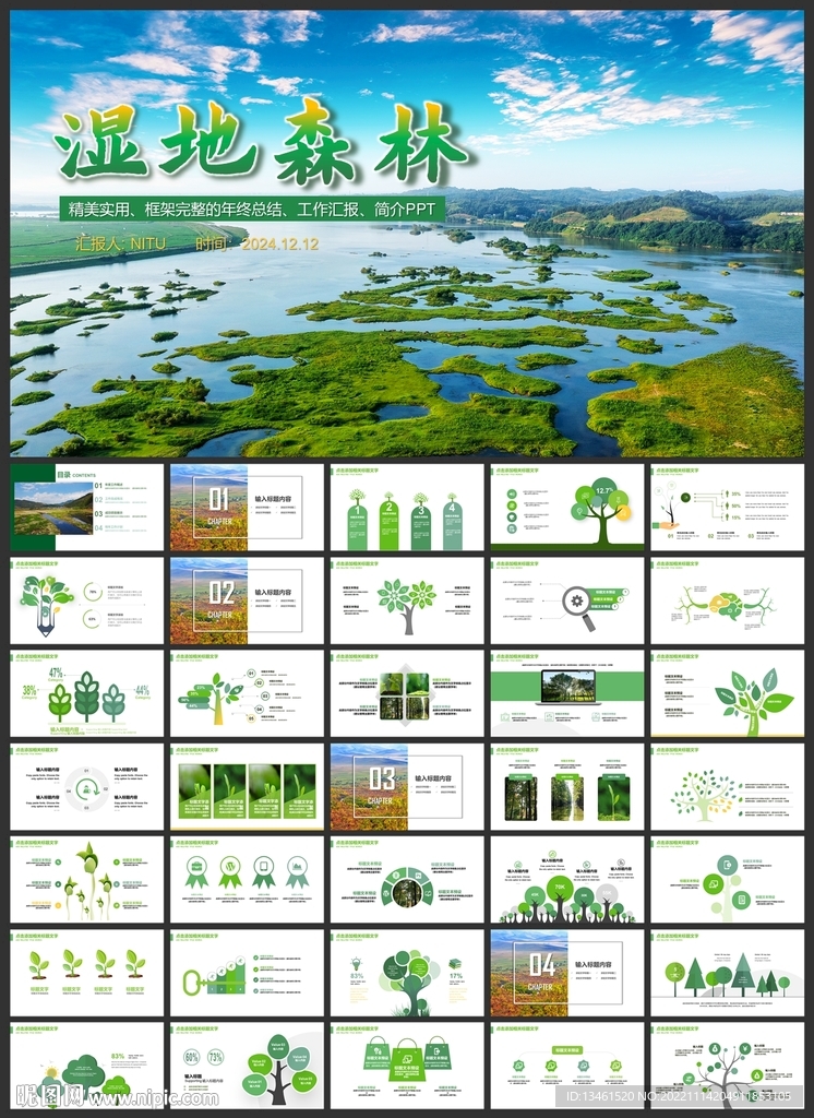 湿地环境保护生态森林业PPT