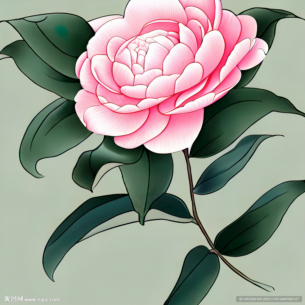 茶花